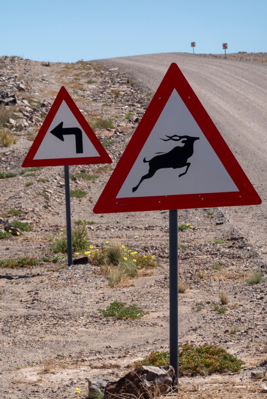 Turismo: Transafrica